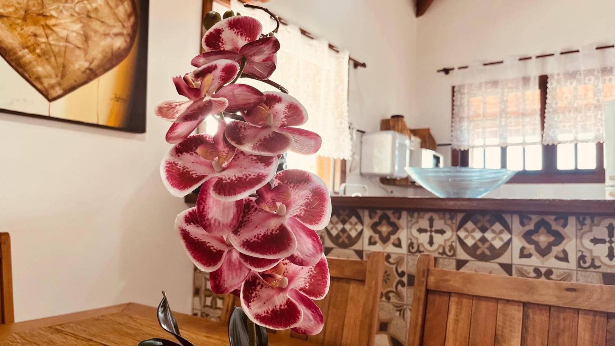 Casa Temporada Ilhabela Villa ภายนอก รูปภาพ
